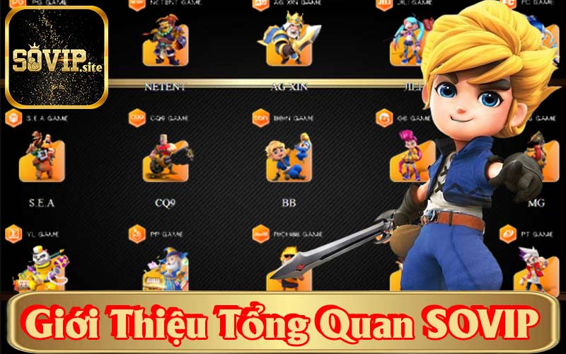 Giới Thiệu Tổng Quan Sovip